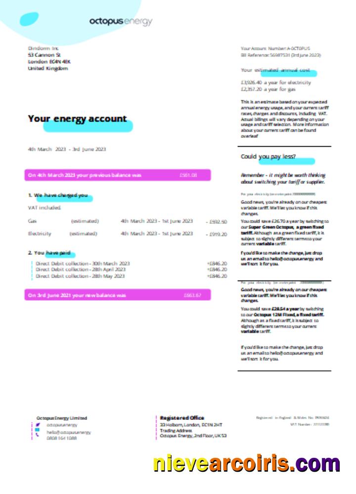 Octopus Energy utility business bill page 1